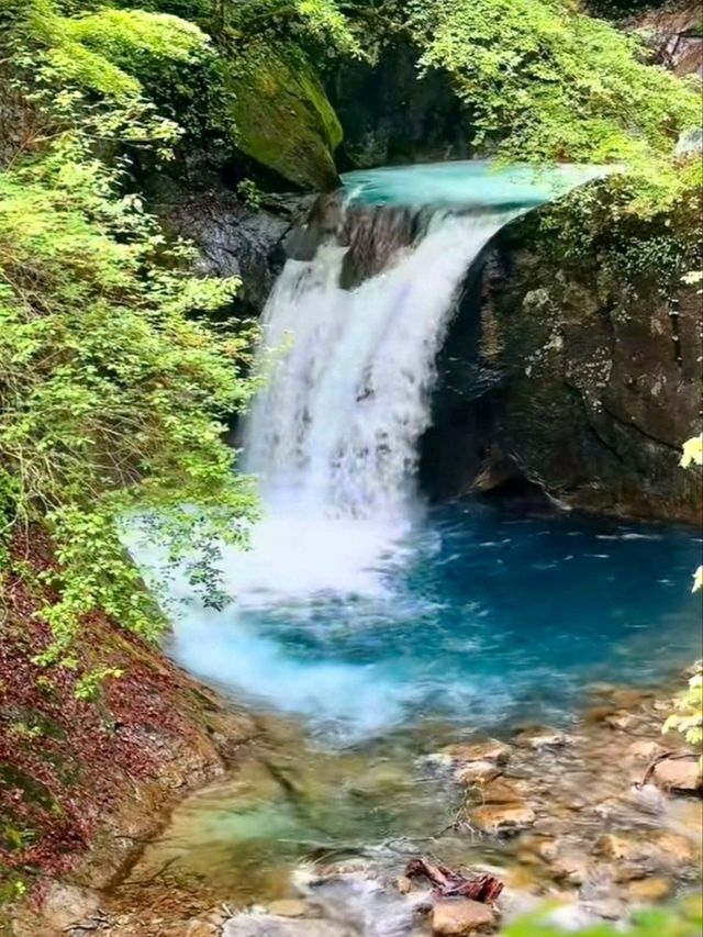 Nishizawa Gorge สวรรค์ของนักเดินป่า