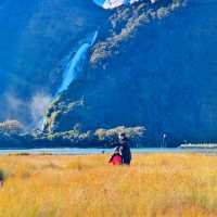 Magical Journey to Milford Sound: A Scenic Adventure You’ll Never Forget