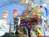 盛岡｜岩手傳說的三颯舞祭 附5天JRPASS東北夏祭行程