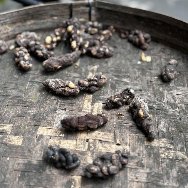 在巴厘，看見黃昏的溫柔😊