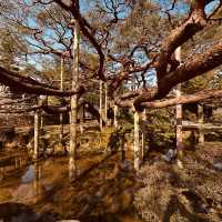 🏯 Kanazawa Castle Summer Survival Guide** *"Where stone walls stay cool and gold leaf shimmers in t