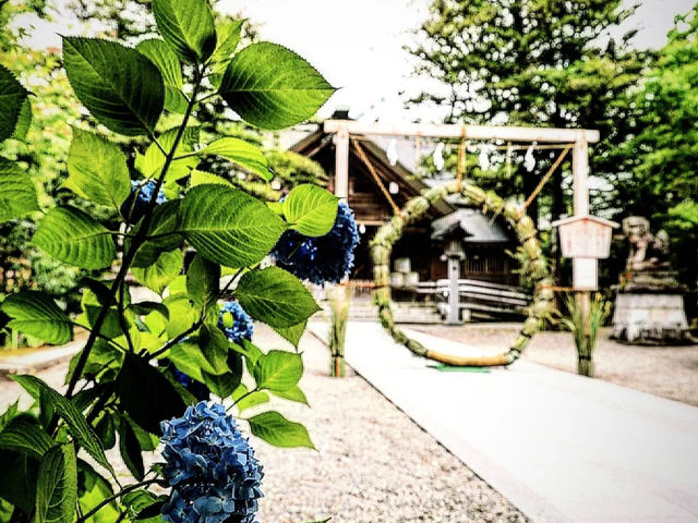 【博多の心に触れる旅】櫛田神社で歴史と祭りの息吹を感じよう