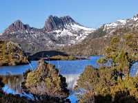 🏔️【雲の上の静寂】クレイドル・マウンテンで心をリセットする旅
