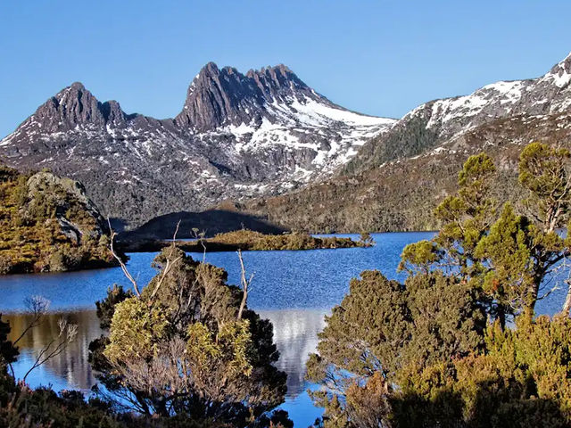 🏔️【雲の上の静寂】クレイドル・マウンテンで心をリセットする旅