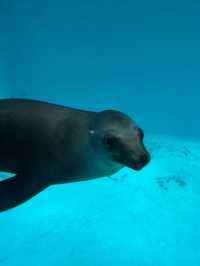 【城崎マリンワールド】海とつながる体験型水族館で、感動のひとときを🐟🎣