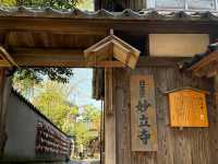 Kanazawa: The Perfect Solo Trip for the Spontaneous Traveler! 🌸