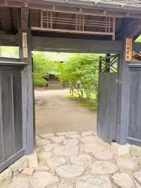 🏯 Kakunodate: Where Samurai Ghosts Walk Beneath 400 Cherry Trees!