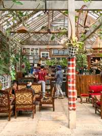 medjora.cafe