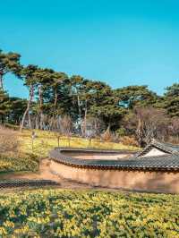 Organic House, Unsan‑myeon
