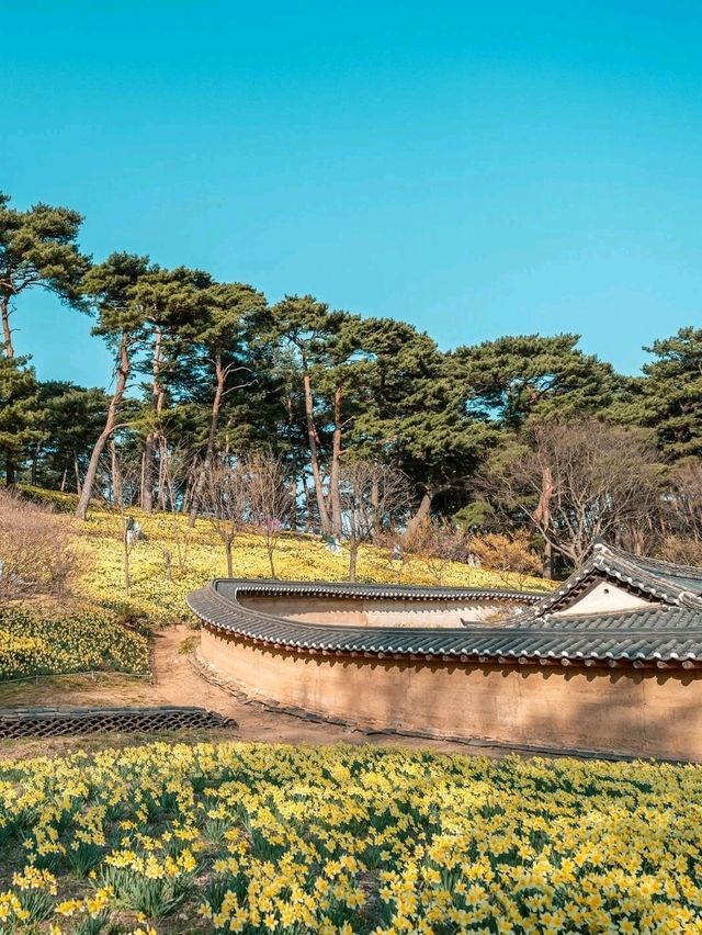 Organic House, Unsan‑myeon