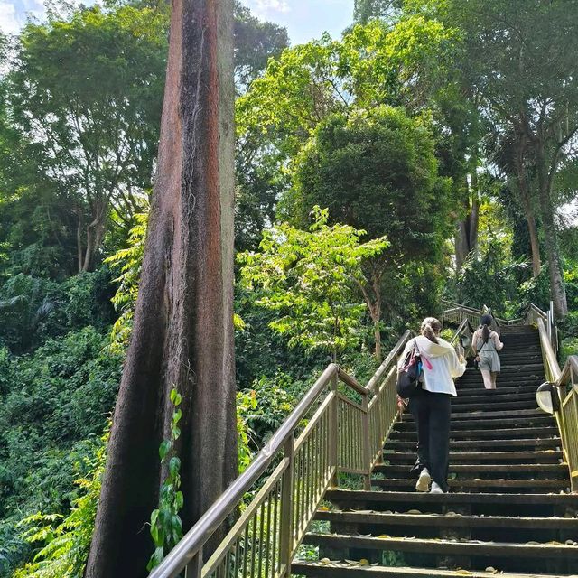Mount Faber Park (Free hike + scenic views)