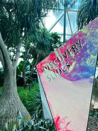“THRILLING FUN AT THE DISCOVERY SLIDES”