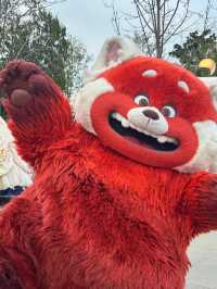 Magic Has No Age Limit – Discover the Wonder of Shanghai Disneyland