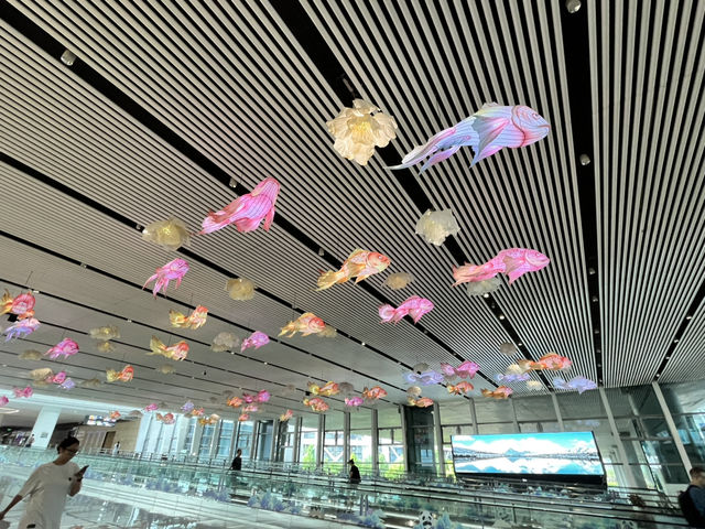✈️ Getting from Chengdu Tianfu International Airport to City Centre — Your Budget-Friendly Guide 🚇🚌