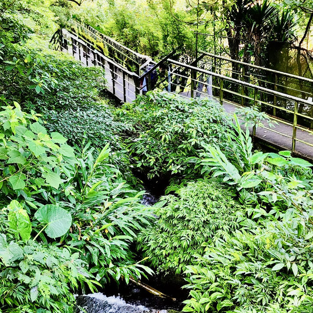 頂湖社區-草山瀑布-猴崁水圳步道-竹子湖歡樂行