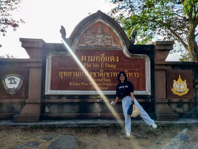 ชมพระอาทิตย์ขึ้นที่ "ผามออีแดง"