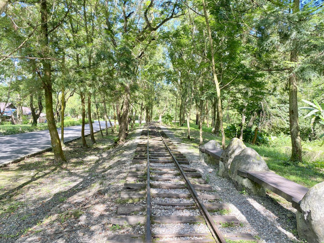 林田山 林業文化園區 🌳