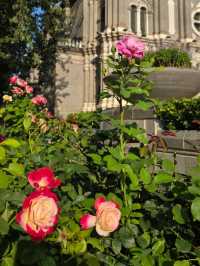 St. Joseph’s Church: A Peaceful Spot in the Heart of Beijing