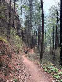 Thimphu Adventures Done Right
