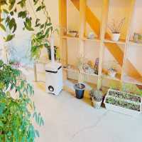 Onyee Cafe
