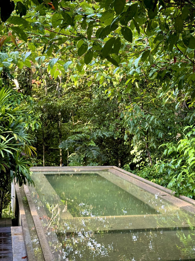 Weekend Getaway at Happi Village, Janda Baik 🏞️🌿