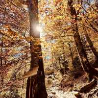 Church of the Dormition of St. John of Rila: A Hidden Spiritual Jewel in the Rhodopes