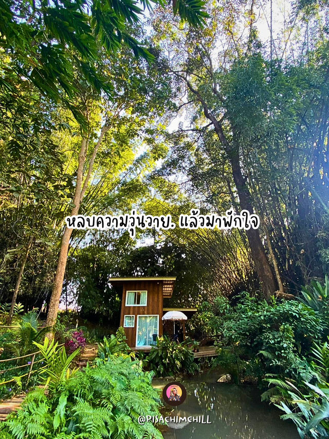 เฌอโคว at หม่องกะลา