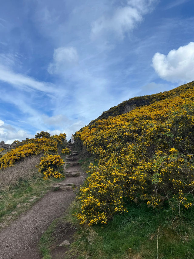 🌄🌬️ Arthur’s Seat