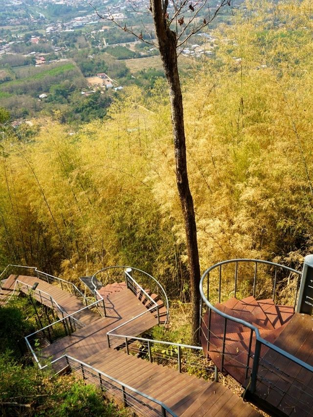 ภูบ่อบิด : เส้นทางเดินป่าใกล้ตัวเมือง จ.เลย