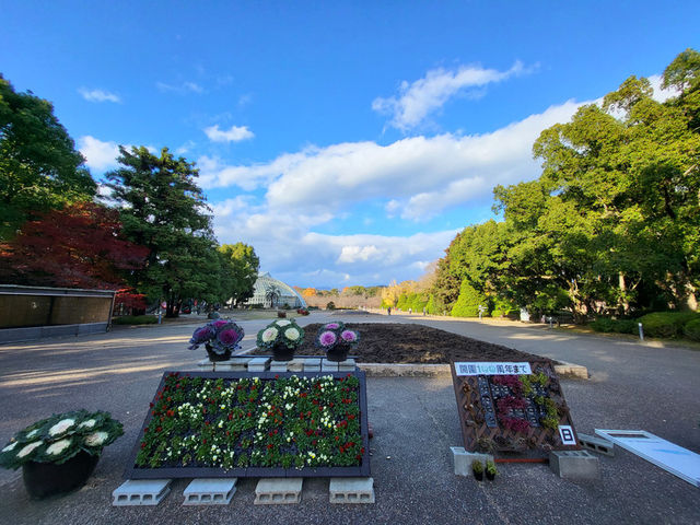 四季皆美的京都府立植物園