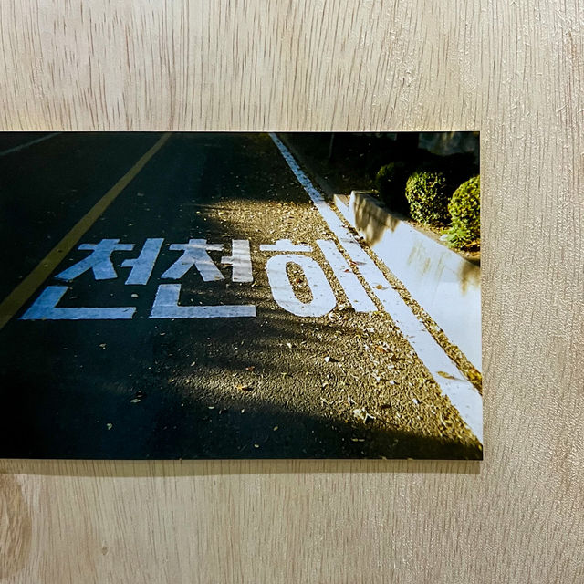 대구 문화예술 핫플 대구예술발전소