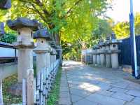An assembly of Stones, the Stone lanterns of Ueno Toshogu Shrine