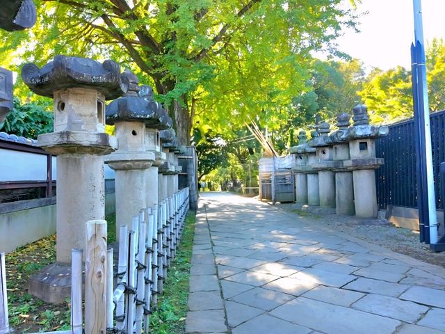 An assembly of Stones, the Stone lanterns of Ueno Toshogu Shrine