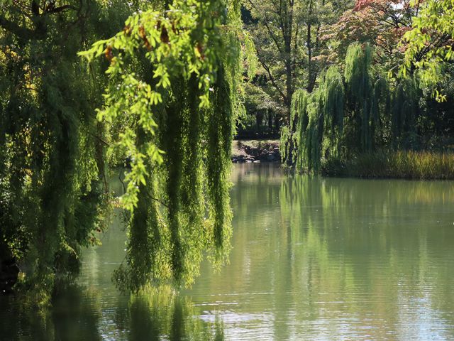蘊藏札幌四季風景的都會秘境/札幌中島公園
