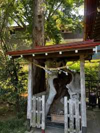  金蛇水神社へ行くべき五つの理由🇯🇵✈️🌎