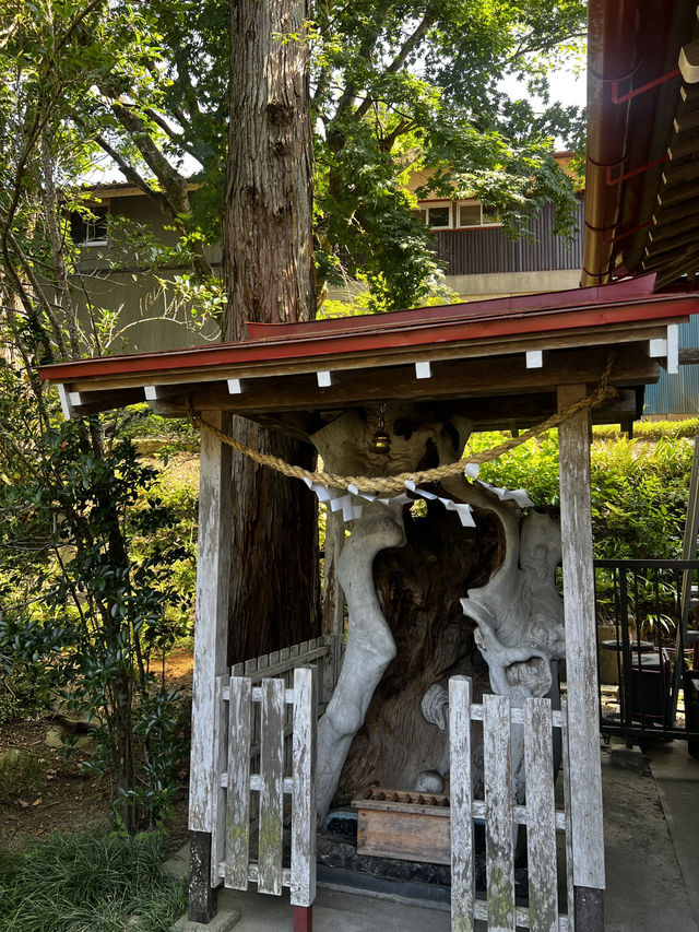  金蛇水神社へ行くべき五つの理由🇯🇵✈️🌎