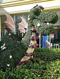 Wish upon a budget : Tokyo Disney Celebration Hotel Wish!