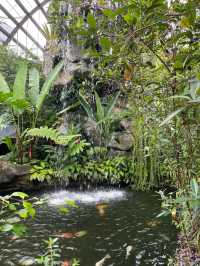 Wings of Wonder: Discover Entopia’s Living Paradise