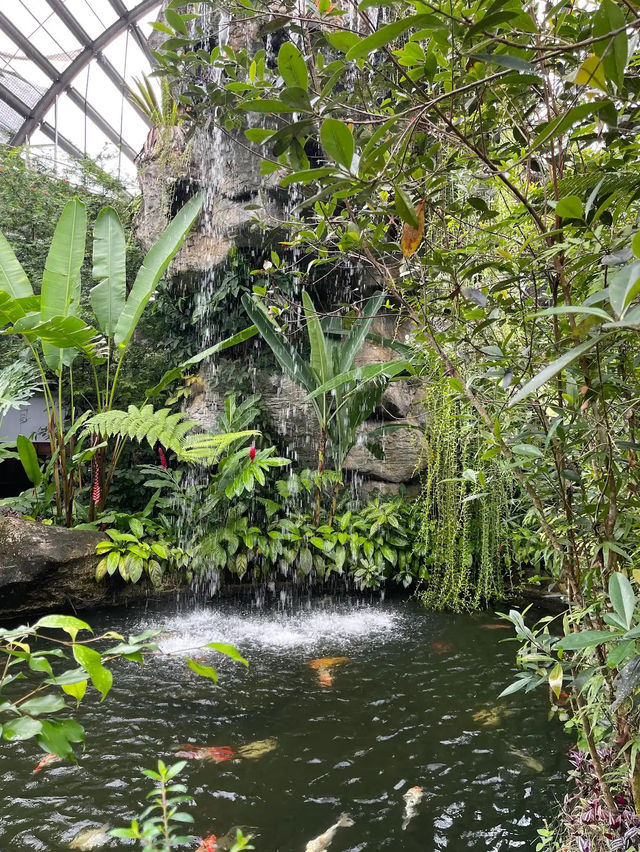 Wings of Wonder: Discover Entopia’s Living Paradise