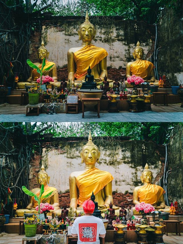 🌿 วัดสังกระต่าย Unseen ของอ่างทองที่แท้จริง