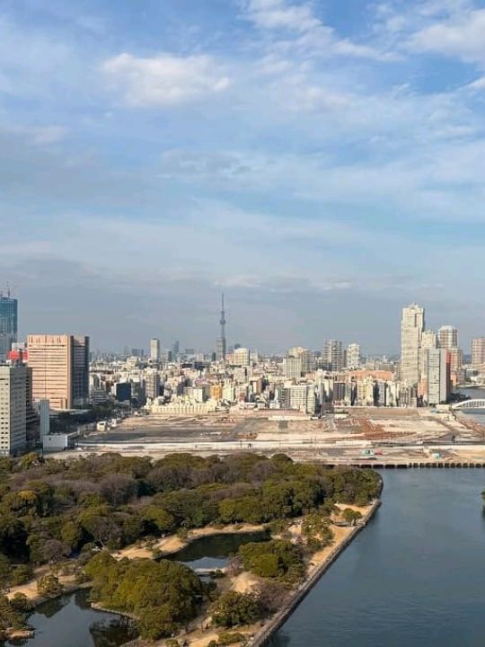 🏨 Mesm Tokyo – Where Art, Rhythm & the Bay Breathe as One 🎶🌊