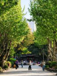 People’s Park 🌺 