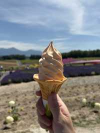 Summer in Biei-Furano 🌸🌻🌷