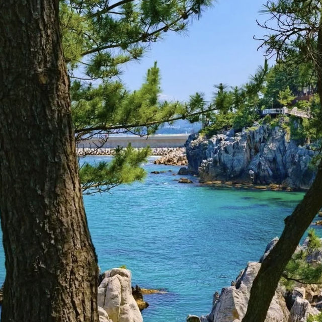 Chotdaebawi Rock: Korea’s Most Thrilling Sunrise Spot – A Solo Hiker’s Pilgrimage"** 🌄🧗