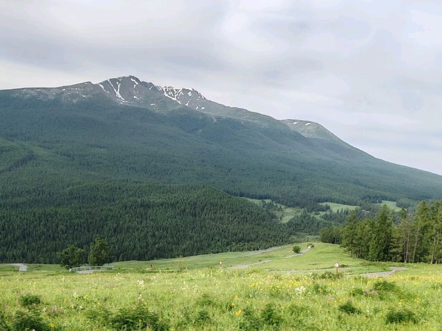 Beautiful Guanyutai: Wildflowers in Bloom