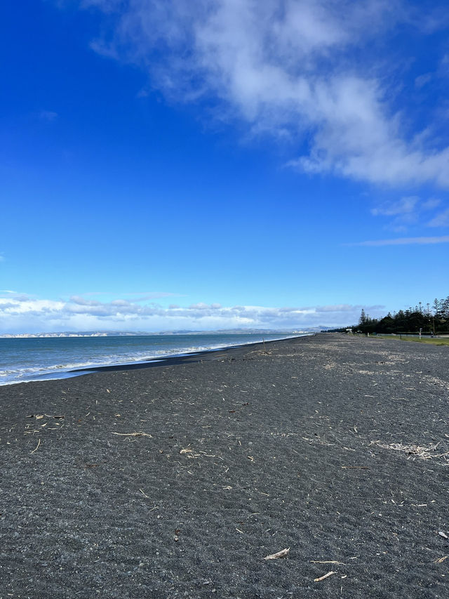 🏝 Marine Parade Viewing Platform ｜Napier 海濱平台漫步與海浪對話