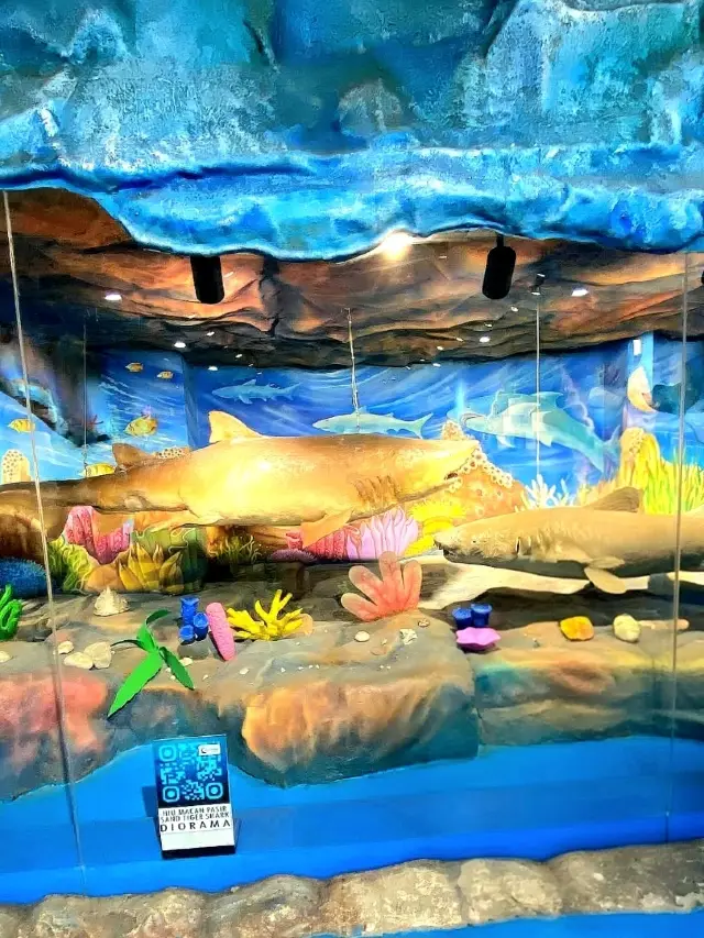 Under the Sea at SeaWorld Ancol