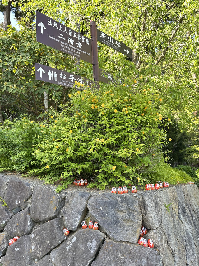วัดดารุมะ Katsuoji temple