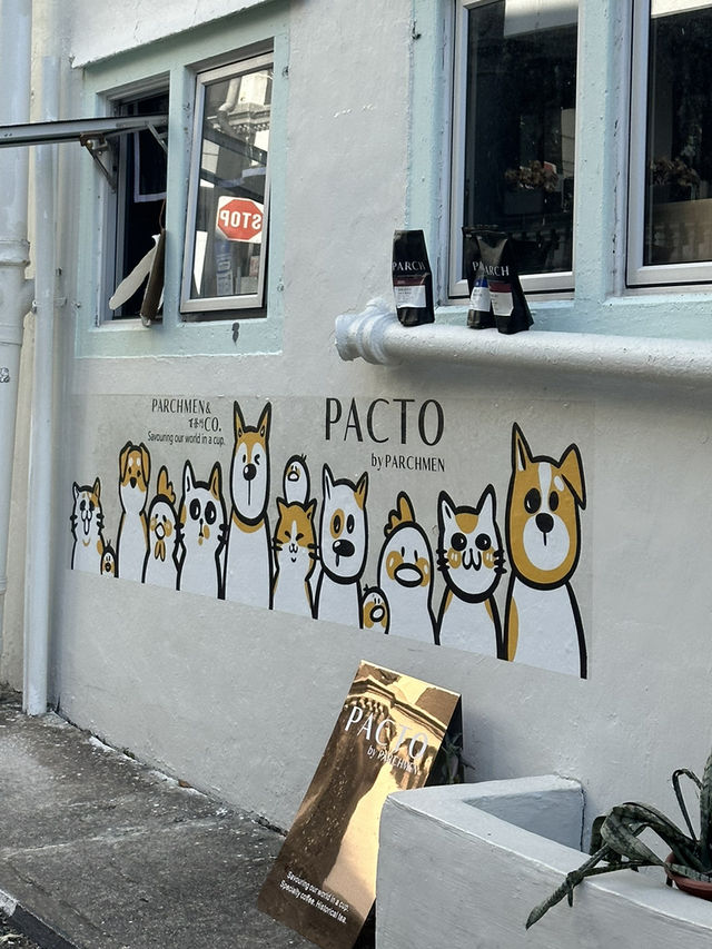 Discovering Pacto by Parchmen: A Coffee Haven in Singapore 🇸🇬 