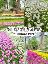 Best OOTD Spot in Istanbul: Gülhane Park